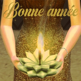 Bonne année 2019