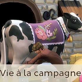 Ce qu'on sait de Vie Ã  la campagne