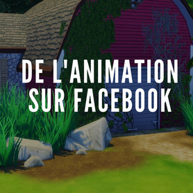 De l'animation sur Facebook