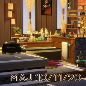 Les nouveautÃ©s de la mise Ã  jour du 10 novembre 2020