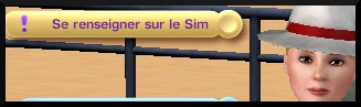 22 sims 3 ambition enqueteur interaction se renseigner sur le sim