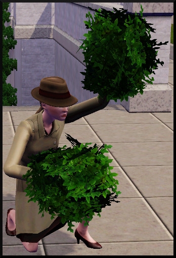 25 sims 3 ambition enqueteur action faire une planque buisson