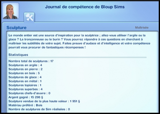 5 sims 3 ambition sculpture journal competence suivi