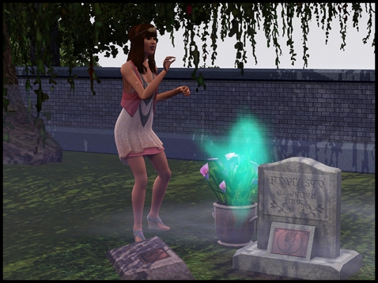 14 sims 3 ambition profession chasseur de fantomes calmer esprit