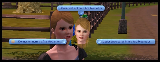 animaux sauvages