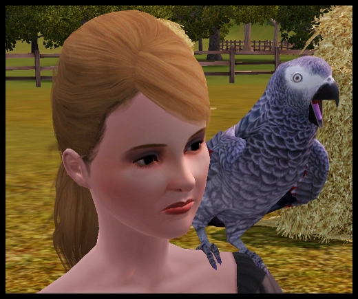 animaux sauvages