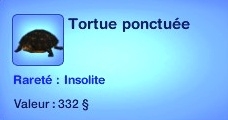 animaux sauvages