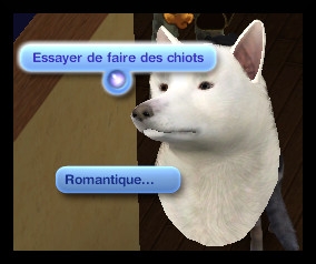 animaux et cie nouveautes sims 3 add on