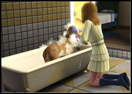 animaux et cie nouveautes sims 3 add on