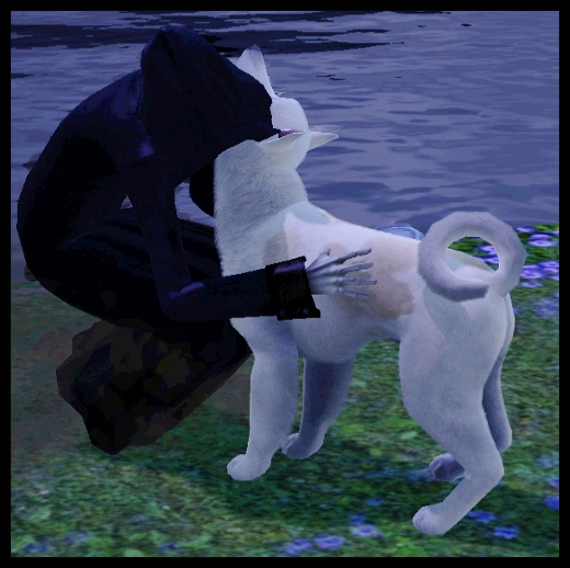 animaux et cie nouveautes sims 3 add on