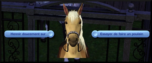 animaux et cie nouveautes sims 3 add on