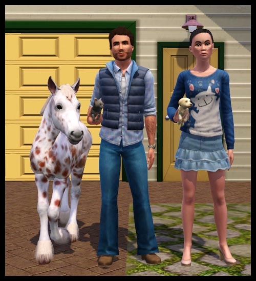 appaloosa13