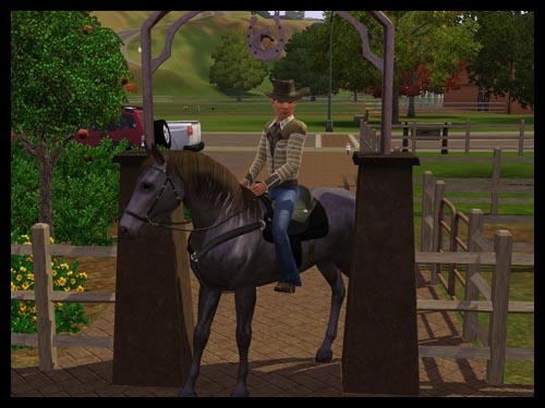 appaloosa23