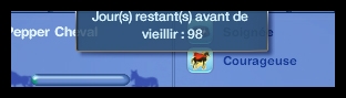 âge de la licorne