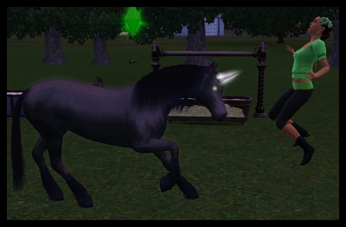 sims qui se fait bénir par la licorne