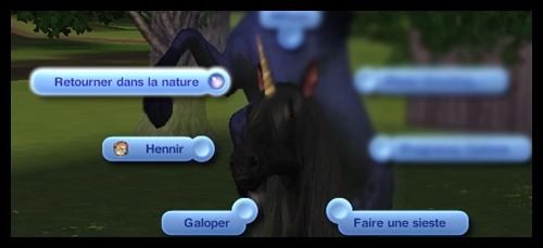 licorne retourner dans la nature