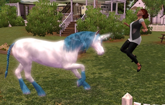 interview licorne bénir un sims