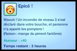 cuisine21