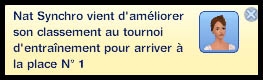 martiaux17