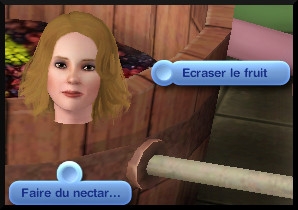 17 sims 3 destination aventure fabrication nectar ecraser fruit faire nectar interaction