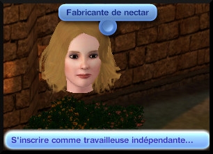 45 sims 3 destination aventure fabrication nectar interaction hotel de ville fabricant independant