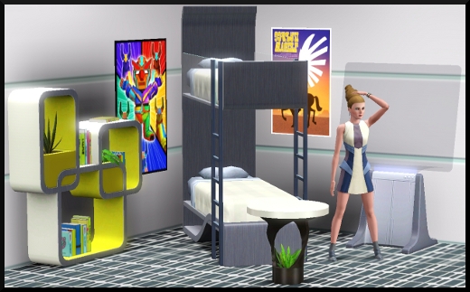 30 sims 3 en route vers le futur CAS objets lits superposés poster bibliothèque