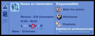 sims 3 ile de reve maitre nageur profession