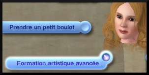 11  sims 3 universite carriere agent sportif concepteur jeux video expert art interacation formation artistique avancee