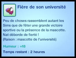 universite