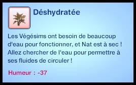 Sims 3 Université Végésims déshydraté