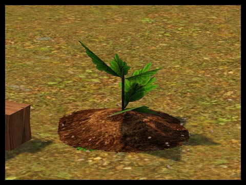 Sims 3 Université Végésims redevenir plante