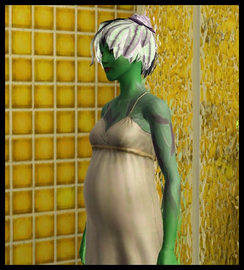 Sims 3 Université Végésims grossesse