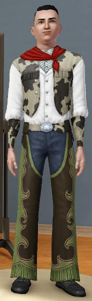 Sims 3 Cinéma Far Ouest Cowboy
