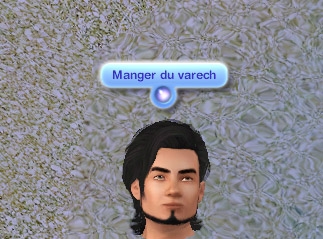 Sims 3 Île de rêve manger du varech
