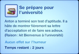 Sims 3 Université