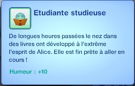 Sims 3 Université