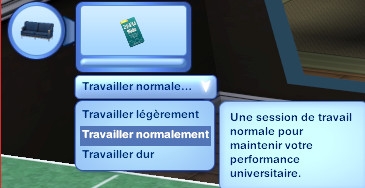 Sims 3 Université