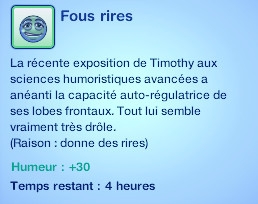 Sims 3 Université