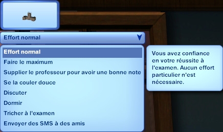 Sims 3 Université