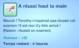 Sims 3 Université