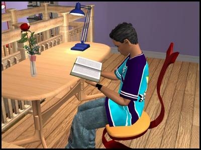 montsimpa sims 2 famille dourève dirk étudier livre sérieux ambition richesse