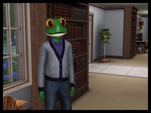 8 sims 3 interview sorciere super pouvoir crapaudifie