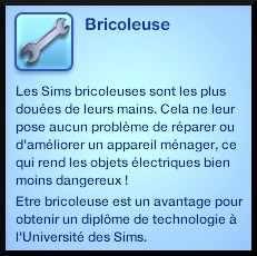 1 sims 3 competence bricolage trait caractere bricoleur