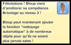 4 sims 3 competence bricolage message niveau 3