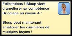 5 sims 3 competence bricolage message niveau 4