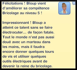 6 sims 3 competence bricolage message niveau 5