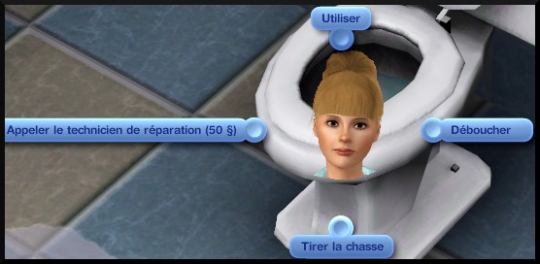 19 sims 3 competence bricolage interaction wc