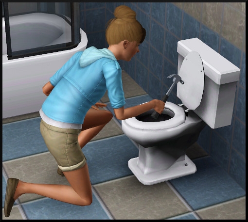 24 sims 3 competence bricolage wc