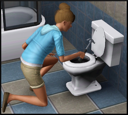 24 sims 3 competence bricolage wc