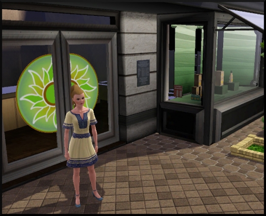 6 sims 3 carriere mi temps spa urbain bloup devant